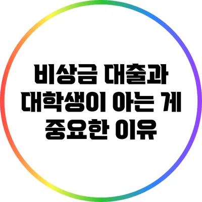 비상금 대출과 대학생이 아는 게 중요한 이유