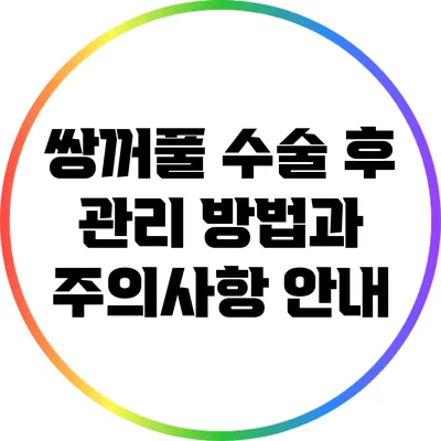 쌍꺼풀 수술 후 관리 방법과 주의사항 안내
