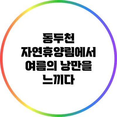 동두천 자연휴양림에서 여름의 낭만을 느끼다