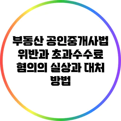 부동산 공인중개사법 위반과 초과수수료 혐의의 실상과 대처 방법