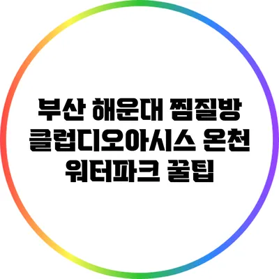부산 해운대 찜질방 클럽디오아시스 온천 워터파크 꿀팁