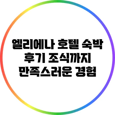 엘리에나 호텔 숙박 후기: 조식까지 만족스러운 경험