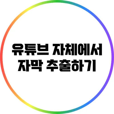 유튜브 자체에서 자막 추출하기