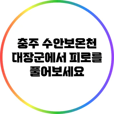 충주 수안보온천 대장군에서 피로를 풀어보세요