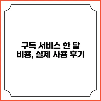 구독 서비스 한 달 비용, 실제 사용 후기