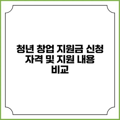 청년 창업 지원금 신청 자격 및 지원 내용 비교
