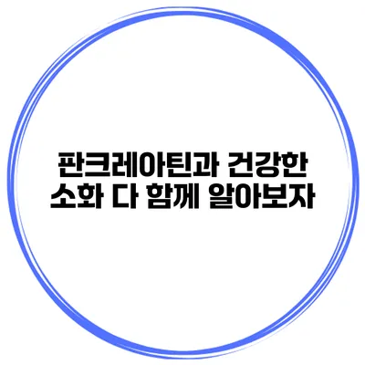 판크레아틴과 건강한 소화 다 함께 알아보자