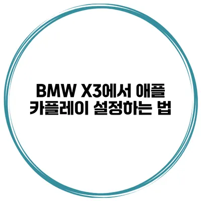 BMW X3에서 애플 카플레이 설정하는 법