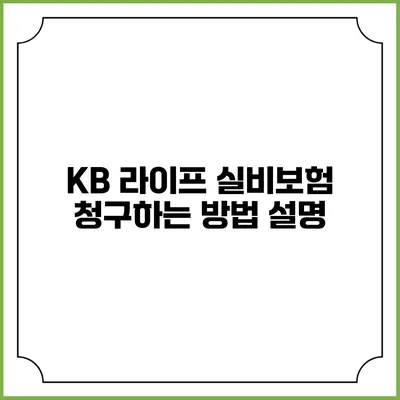 KB 라이프 실비보험 청구하는 방법 설명