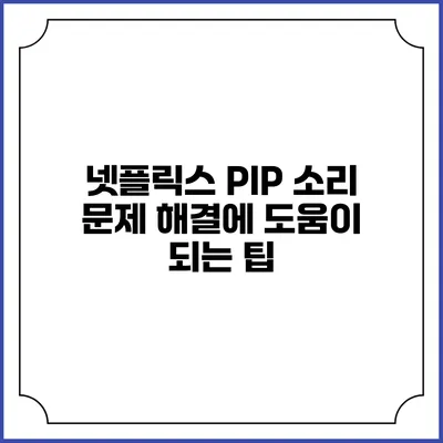 넷플릭스 PIP 소리 문제 해결에 도움이 되는 팁