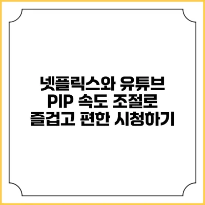 넷플릭스와 유튜브 PIP 속도 조절로 즐겁고 편한 시청하기
