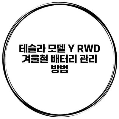 테슬라 모델 Y RWD 겨울철 배터리 관리 방법