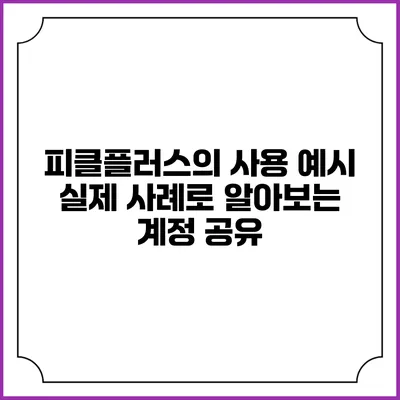 피클플러스의 사용 예시 실제 사례로 알아보는 계정 공유